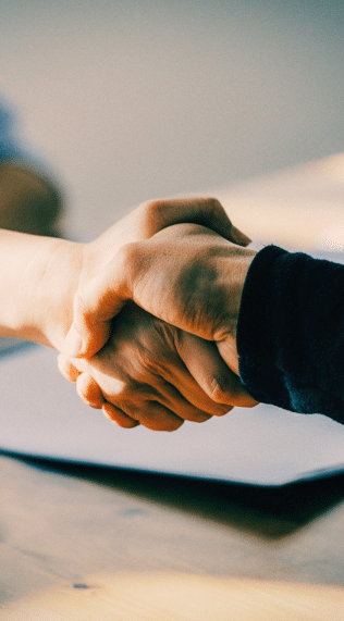 Software Consultations